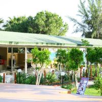 akin paradise hotel