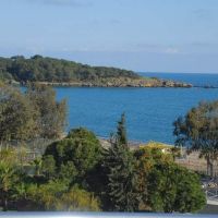 akin paradise hotel