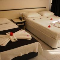 blue velvet hotel