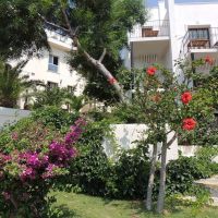 rosso verde hotel