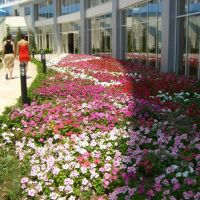 buyuk anadolu didim resort