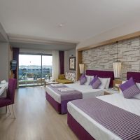 tui magic life jacaranda