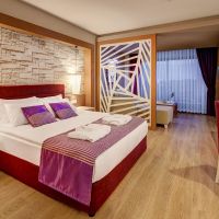 tui magic life jacaranda