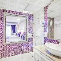 tui magic life jacaranda