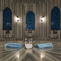 papillon ayscha hotel
