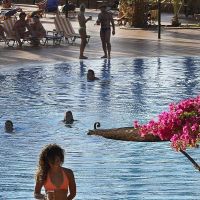 Jaz Solaya Resort
