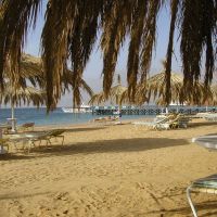 coral resort nuweiba
