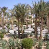 la playa resort & spa (ex. sonesta beach resort)