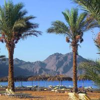 la playa resort & spa (ex. sonesta beach resort)