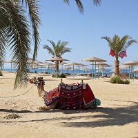 The Three Corners Sunny Beach