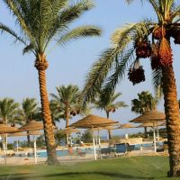 Domina Coral Bay Sultan