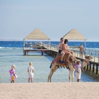 Amwaj Oyoun Hotel &Resort