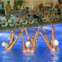 club shark hotel