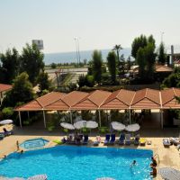 blue fish hotel