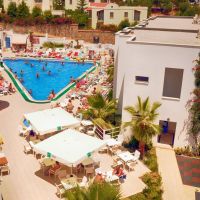 club shark hotel