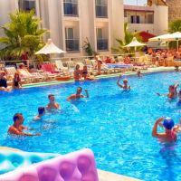 club shark hotel