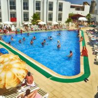 club shark hotel