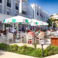 club shark hotel