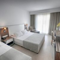 club shark hotel