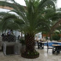 yildiz boutique hotel