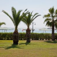 Paloma Paradise Beach