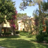 robinson club camyuva