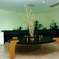 hotel golden lotus
