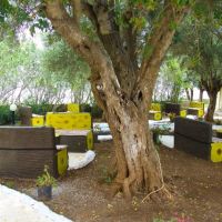 the holiday resort hotel
