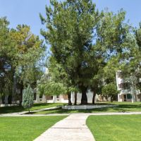 carpe mare beach resort