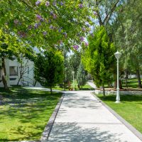 carpe mare beach resort