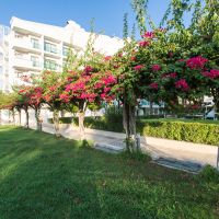 club hotel falcon