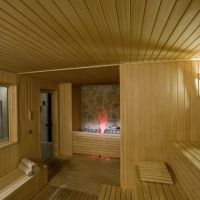 botanik exclusive resort lara