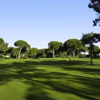 robinson club nobilis