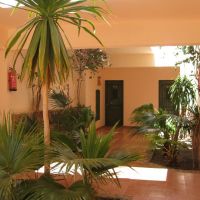 shams alam beach resort