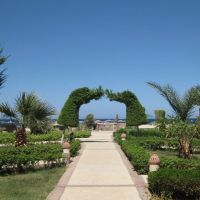 shams alam beach resort