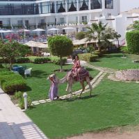 beirut hotel hurghada