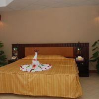 falcon naama star