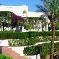 Verginia Sharm Resort & Aqua Park (ex. Verginia Sharm)
