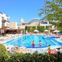 falcon naama star