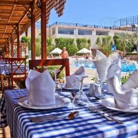 falcon naama star