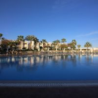 sharm reef