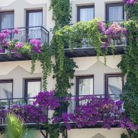crystal golden age hotel gumusluk (ex. crystal hotel bodrum)