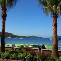 blue bay hotel