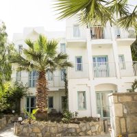 royal panacea hotel