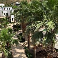 anadolu hotel bodrum
