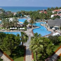 barut arum