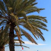 tui day&night connected hydros club