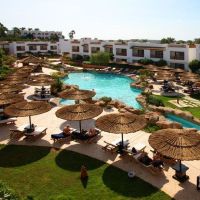 domina coral bay harem