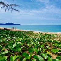 holiday inn phuket mai khao beach