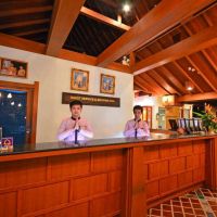 orchidacea resort kata beach